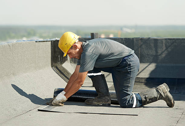 Best Insulation Removal  in Libby, MT