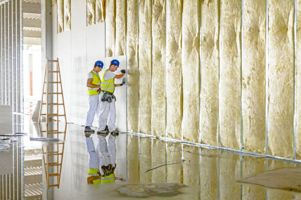 Best Energy-efficient Insulation  in Libby, MT